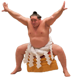 Sumo PNG-55635